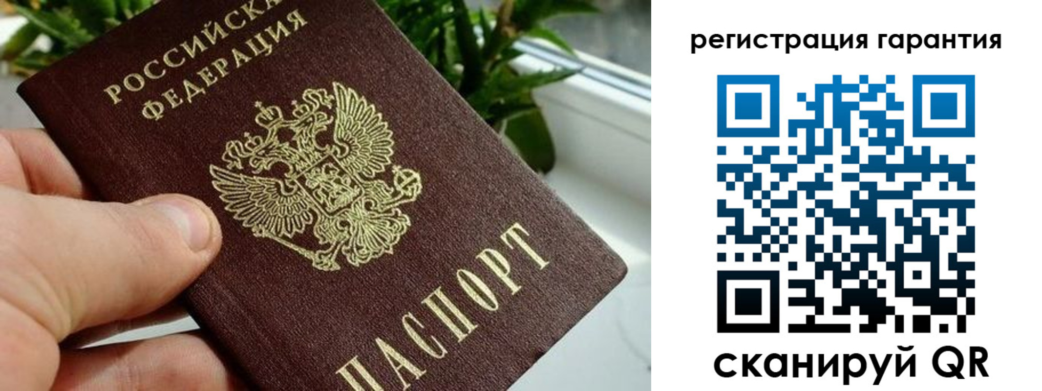 временная регистрация надежно в Дубовке